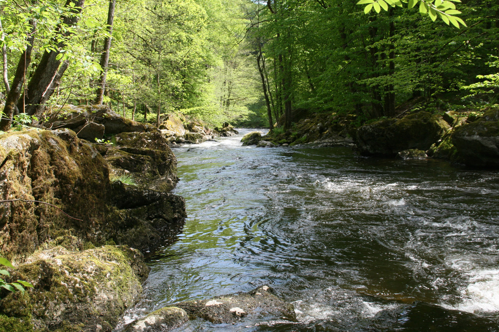 Wildbachklamm Buchberger Leite