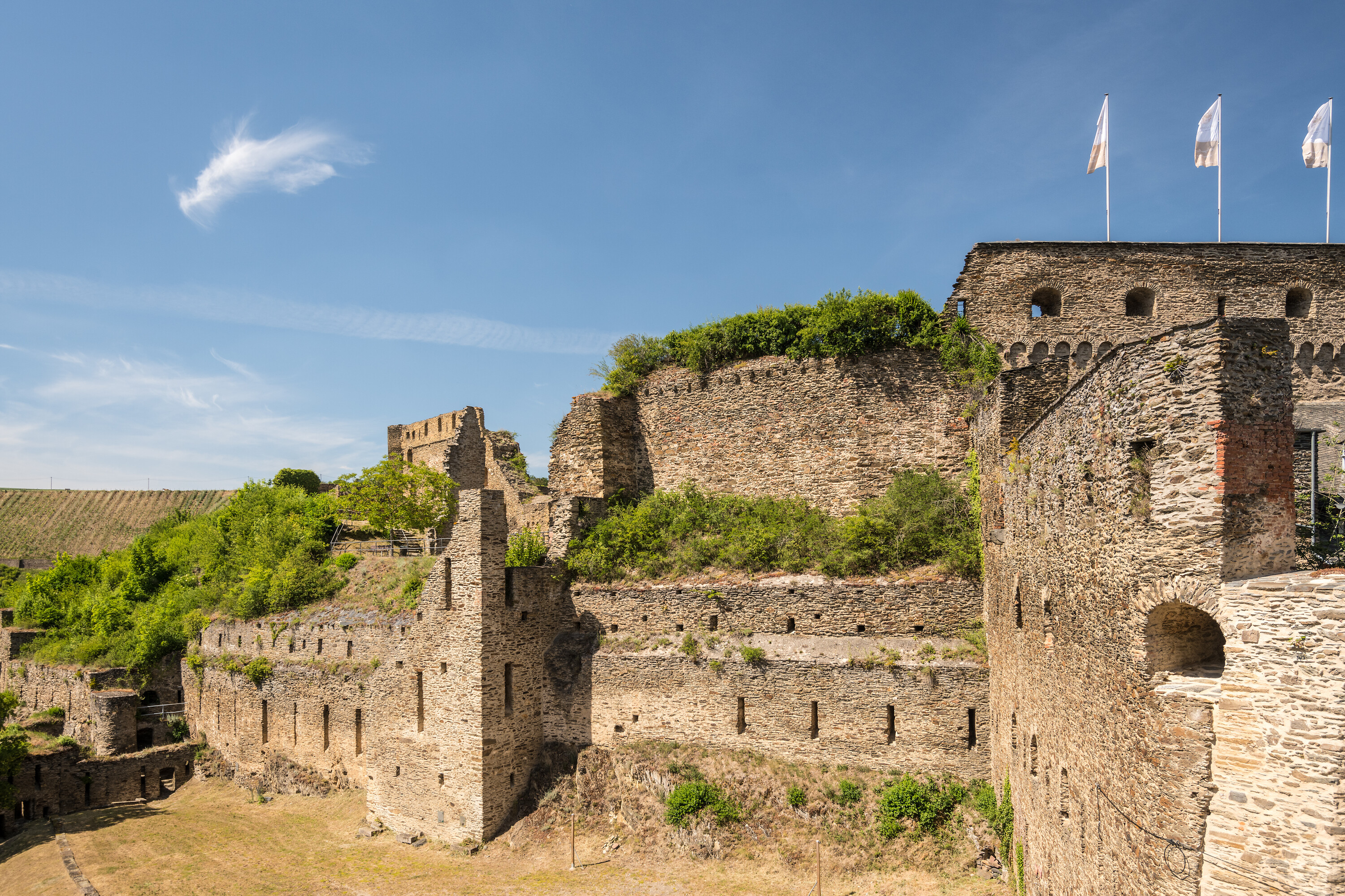 Urlaub mit Hund im Hunsrück - Burg Rheinfels