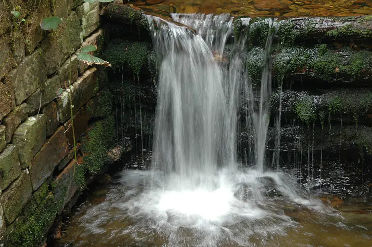 Oberharzer Wasserregal