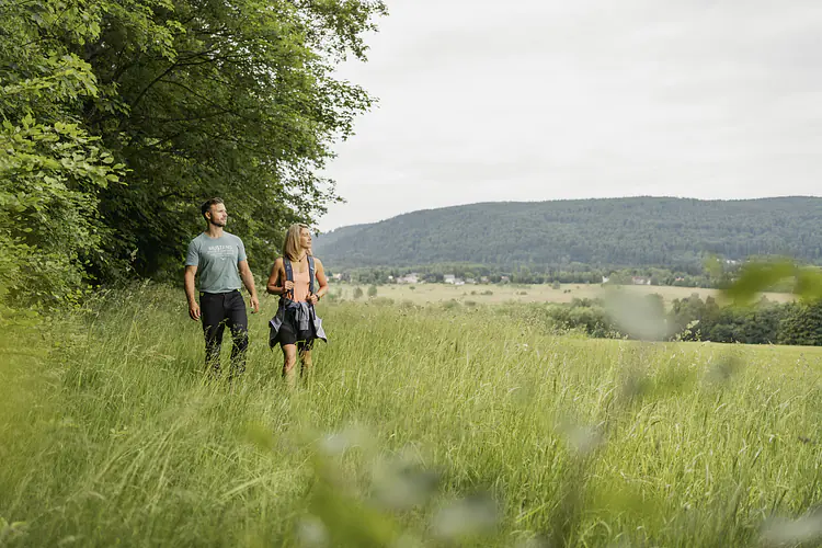 Der Kammweg im Erzgebirge