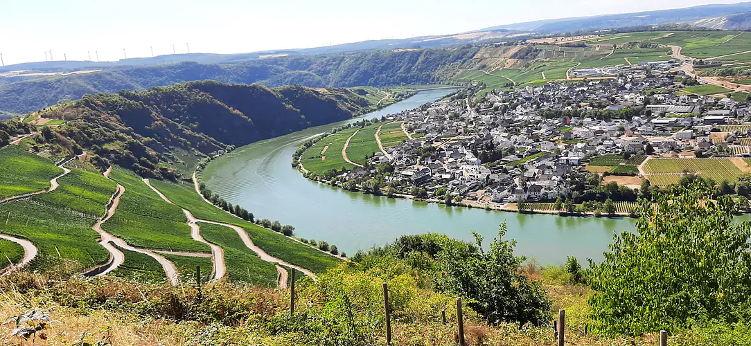 Region Mosel