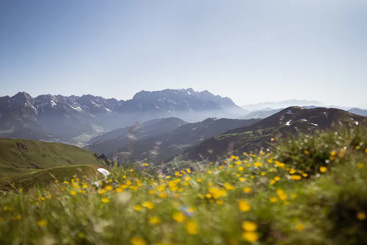 Region Salzburger Land