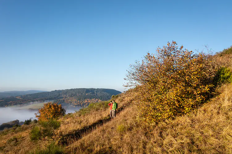 Der Eifelsteig