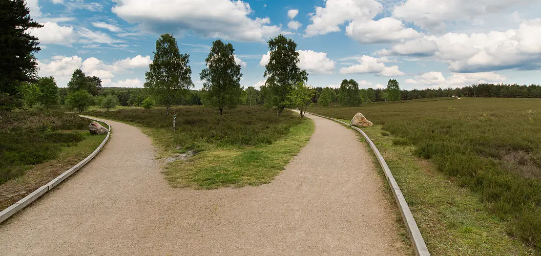 Region Südheide