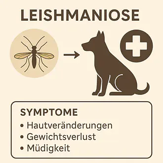 Urlaub im Mittelmeerraum - Achtung Leishmaniose