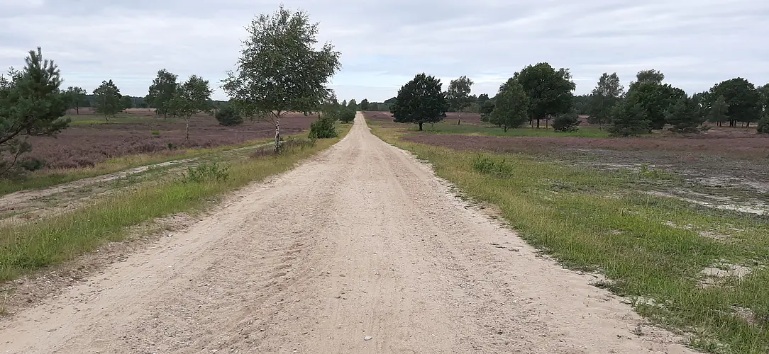 Region Lüneburger Heide
