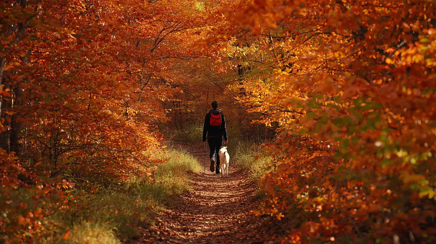 Aktiv mit dem Hund durch Herbst und Winter – Wandern in der kühlen Jahreszeit