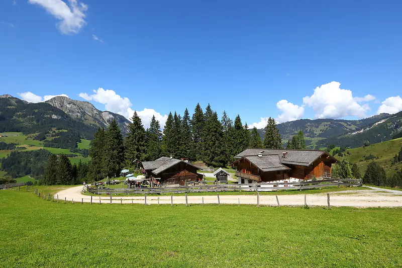 Wandern mit Hund zur Heugathalm im Großarltal