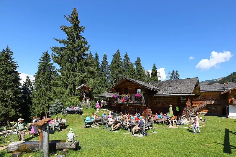 Wandern mit Hund zur Heugathalm im Großarltal