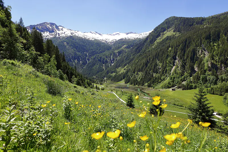 Ötzlsee im Großarltal
