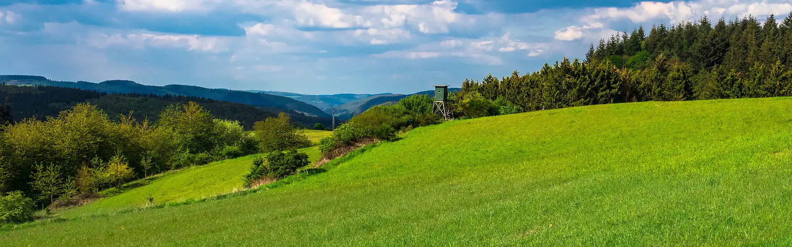 Hundereise hundefreundliche Unterkünfte Region Eifel