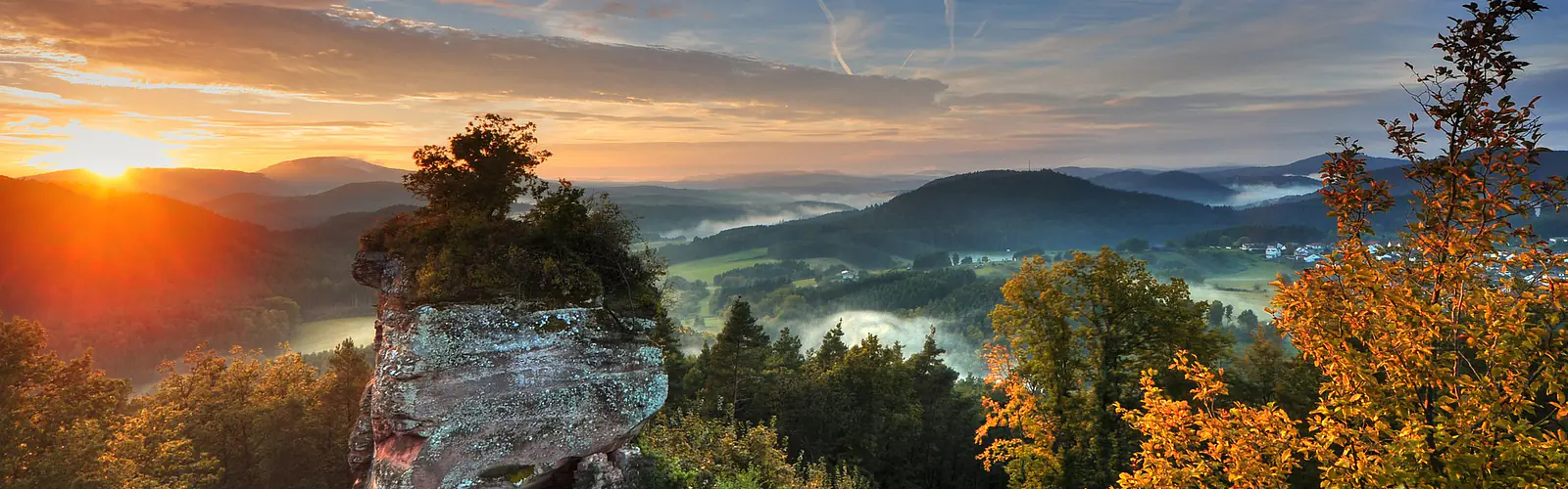 Hundereise hundefreundliche Unterkünfte Region Pfälzer Wald
