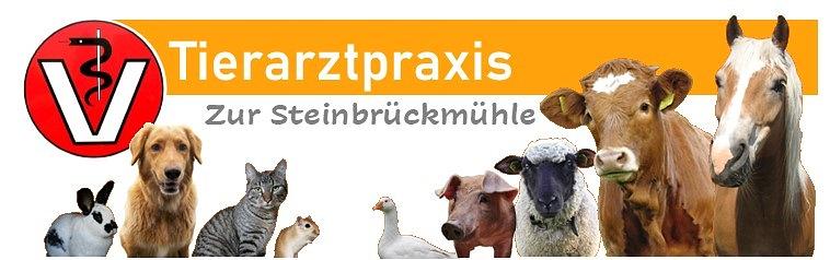 Tierarztpraxis Tierarztpraxis Zur Steinbrückmühle