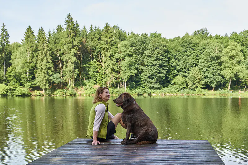 Der Goldsteig  im Bayerischen Wald
