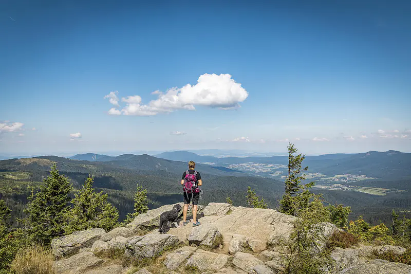 Der Goldsteig  im Bayerischen Wald