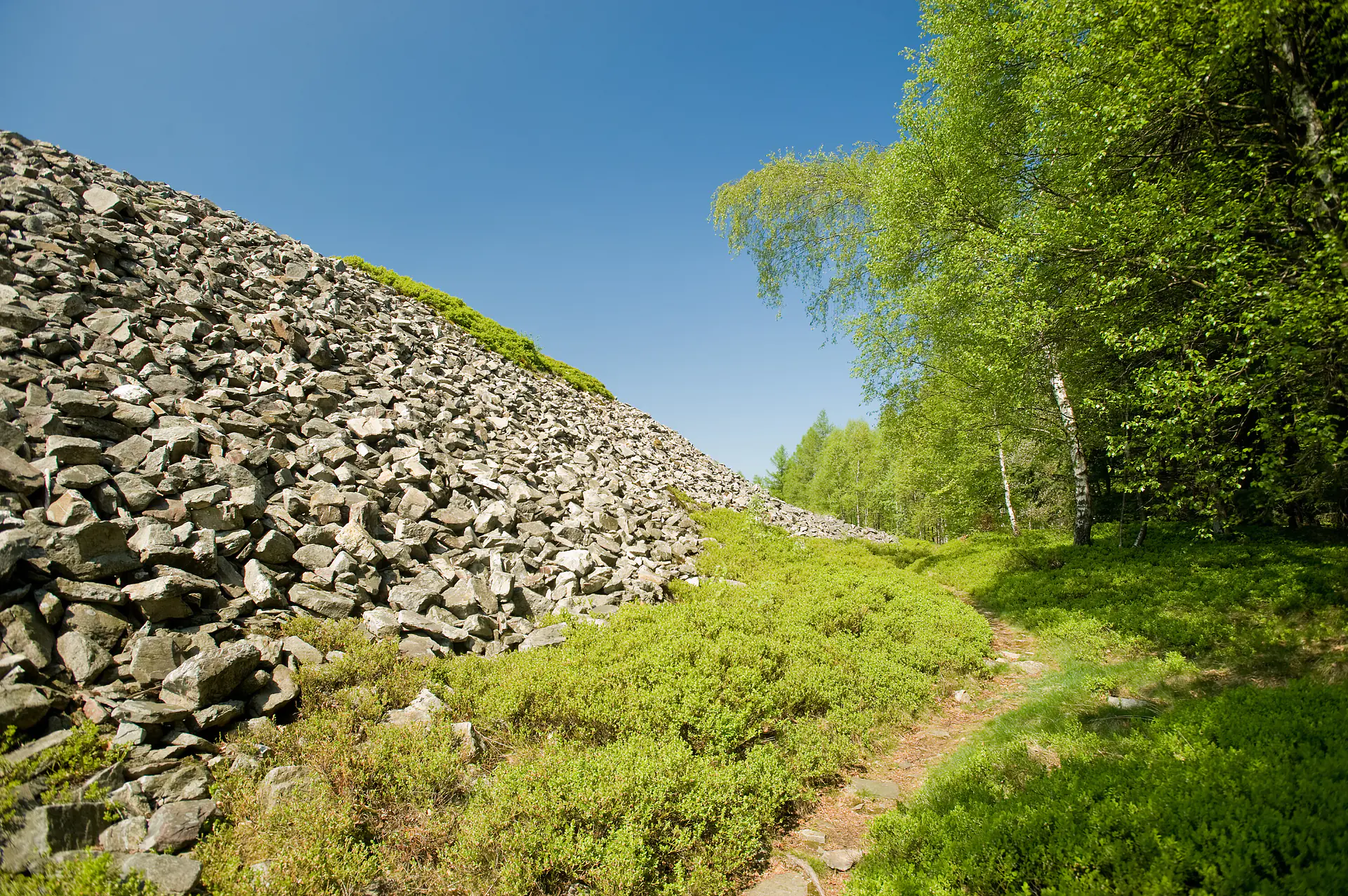 Urlaub mit Hund im Hunsrück - Der Ringwall von Otzenhausen